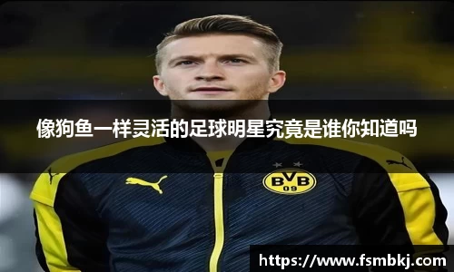 像狗鱼一样灵活的足球明星究竟是谁你知道吗
