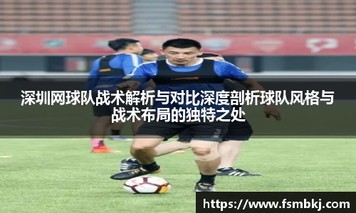 深圳网球队战术解析与对比深度剖析球队风格与战术布局的独特之处