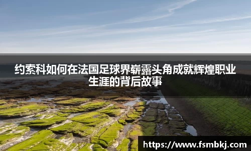 约索科如何在法国足球界崭露头角成就辉煌职业生涯的背后故事